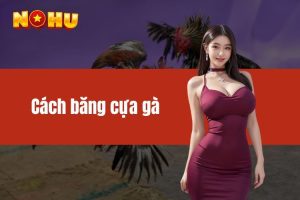 Cách Băng Cựa Gà NOHU90 Đúng Kỹ Thuật Dành Cho Các Sư Kê