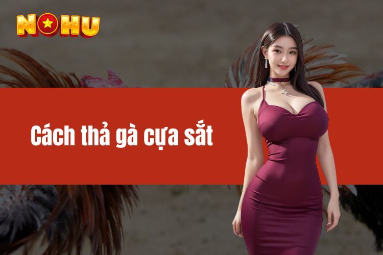 Cách thả gà cựa sắt - Các tips thả gà sư kê cần lưu ý