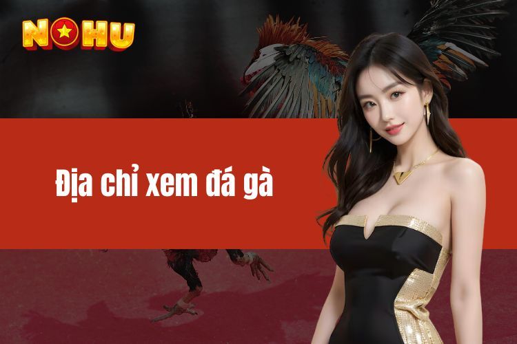 Địa chỉ xem đá gà online - Cách nhận diện nơi chất lượng