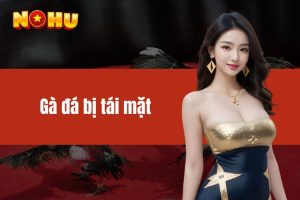 Gà đá bị tái mặt - Nguyên nhân và cách khắc phục hiệu quả