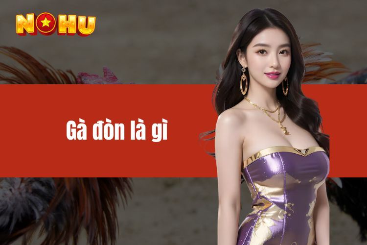 Gà đòn là gì? Đặc điểm, cách nuôi và lý do được yêu thích