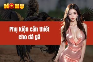 Phụ kiện cần thiết cho đá gà - Kiến thức từ sư kê giỏi