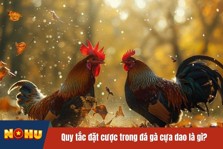 Quy tắc đặt cược trong đá gà cựa dao là gì?